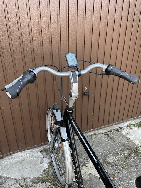 Rower męski Gazelle