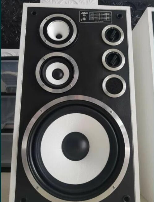 Kolumny Altus Tonsil 75 (Wersja Czarno-Biała) Unikalny Desig