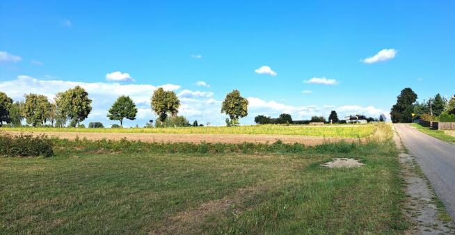 Działka budowlana, Tarło Kolonia