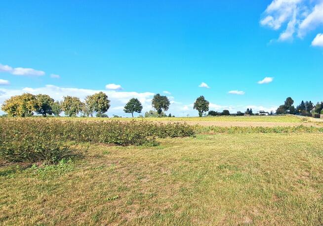 Działka budowlana, Tarło Kolonia