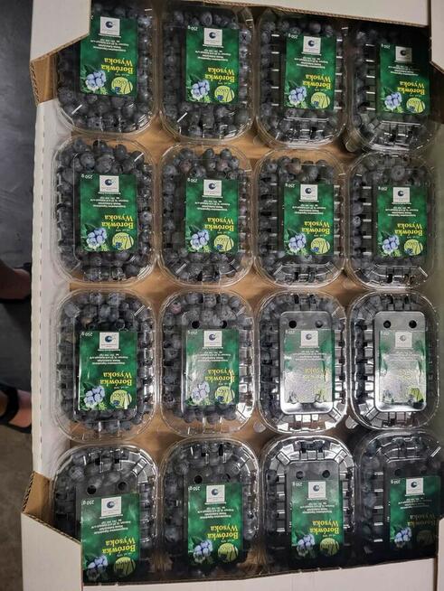 Przyjmuję zamówienia na świeże warzywa i owoce-dowóz gratis