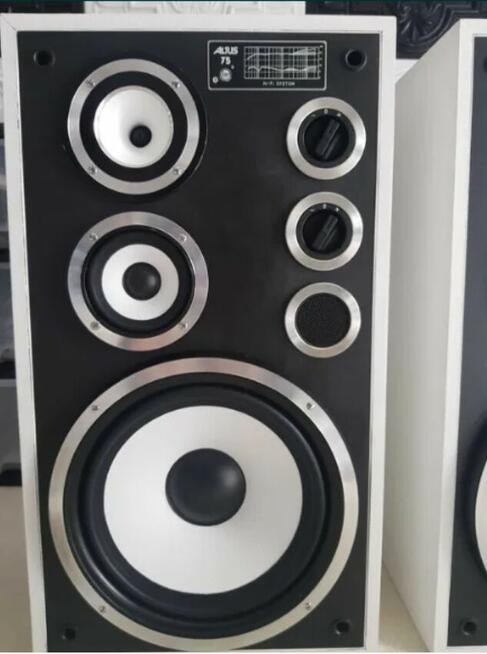 Kolumny Altus Tonsil 75 (Wersja Czarno-Biała) Unikalny Desig