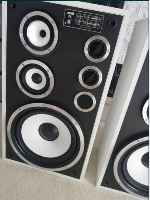 Kolumny Altus Tonsil 75 (Wersja Czarno-Biała) Unikalny Desig