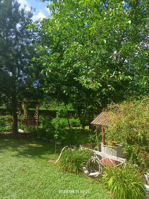 Sprzedam działkę Rod MORWA