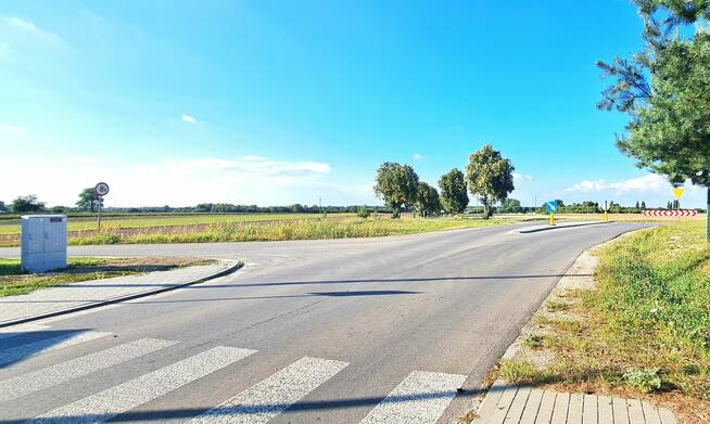 Działka budowlana, Tarło Kolonia