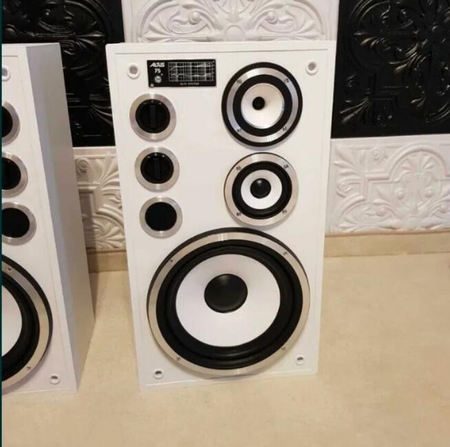 Kolumny Altus Tonsil 75 (Wersja Całkowicie Biała ,Lustrzane