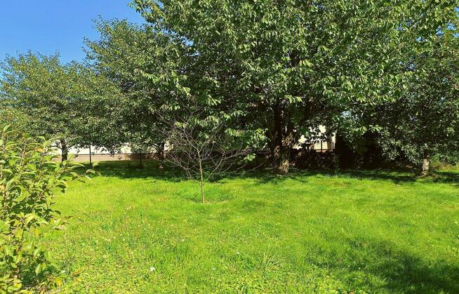 Ładna działka 970m2, Łapiguz. 1 km od Zamościa