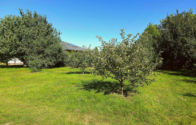 Ładna działka 970m2, Łapiguz. 1 km od Zamościa