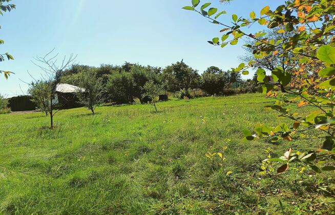 Ładna działka 970m2, Łapiguz. 1 km od Zamościa