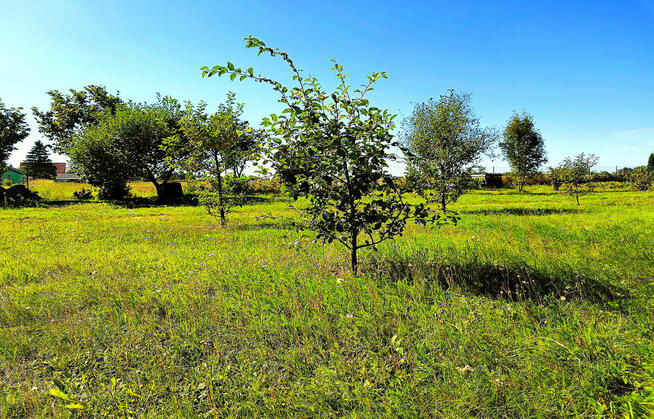 Ładna działka 970m2, Łapiguz. 1 km od Zamościa