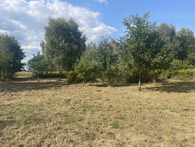 Działka na sprzedaż pod Goleniowem/ Żółwia Błoć