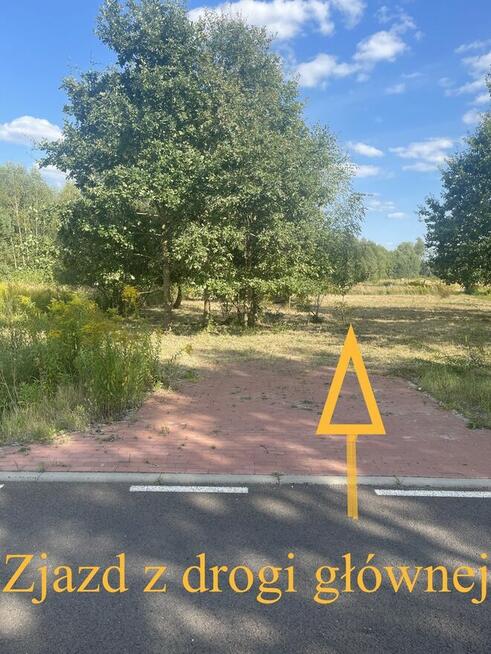 Działka na sprzedaż pod Goleniowem/ Żółwia Błoć