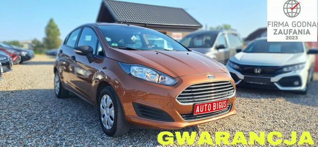 Ford Fiesta super stan  klima zarejestrowana