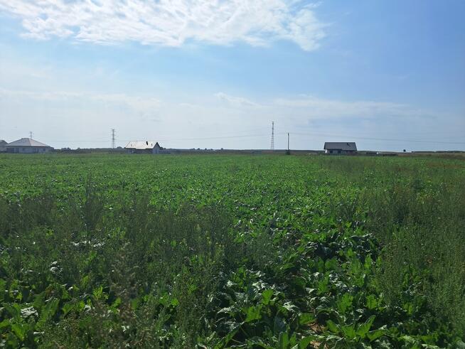 Uzbrojona działka. Gm. Puchaczów