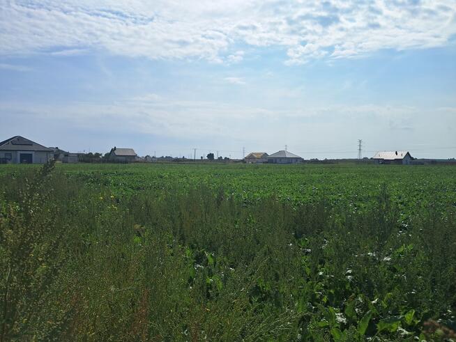 Uzbrojona działka. Gm. Puchaczów