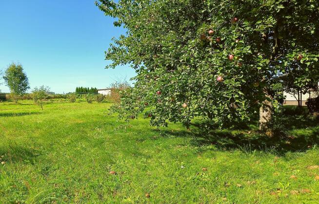 Ładna działka 970m2, Łapiguz. 1 km od Zamościa