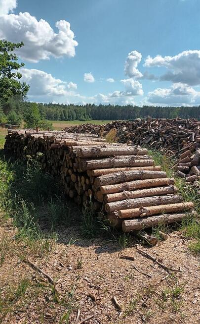 Sprzedam drewno opałowe