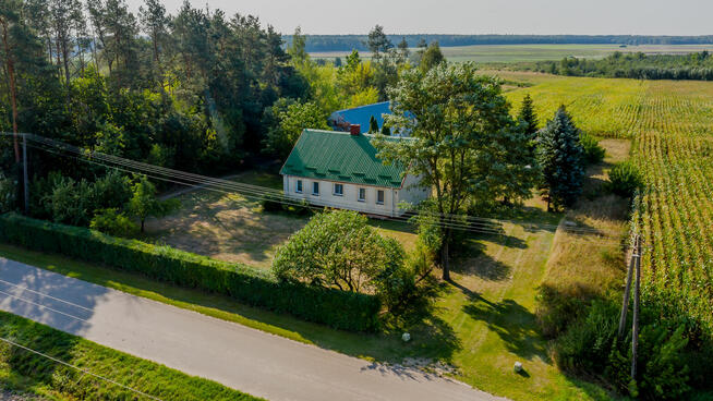 Siedlisko pod gospodarstwo ekologiczne, hodowlę koni