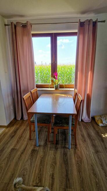 Dom na dużej działce, Chodów - MEGA obniżka ceny