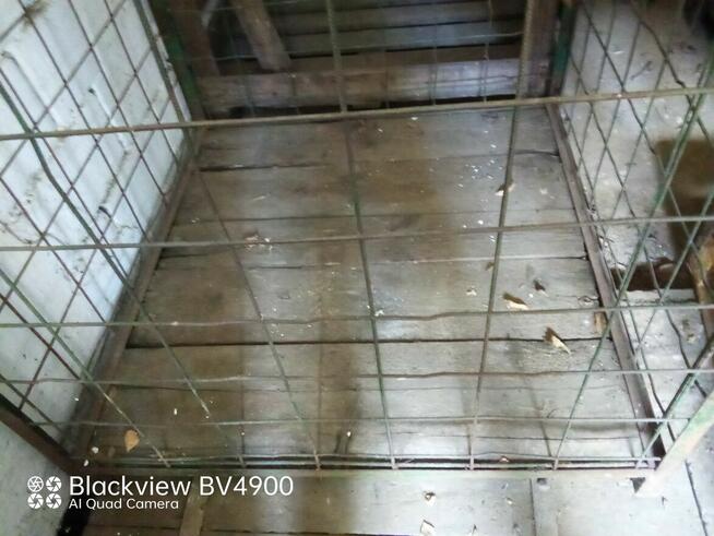 Skrzynie Skrzynio-palety Kosze