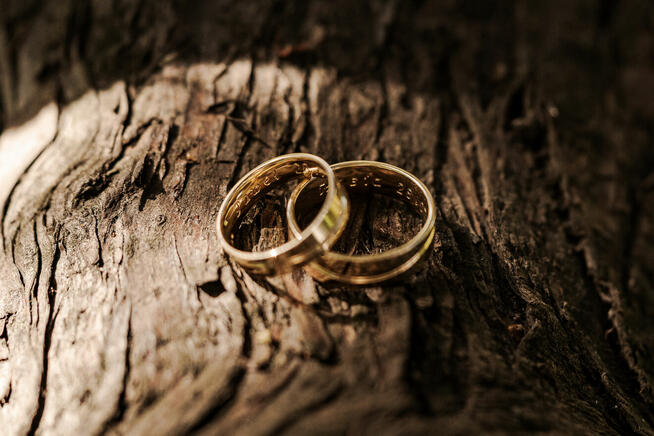 Galeria Marzeń Grzegorz Maj - kamerzysta / fotograf