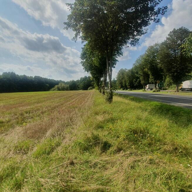 Działka 10 500m2 Inwestycyjna pod działalnośćDK6 (Hossoland)