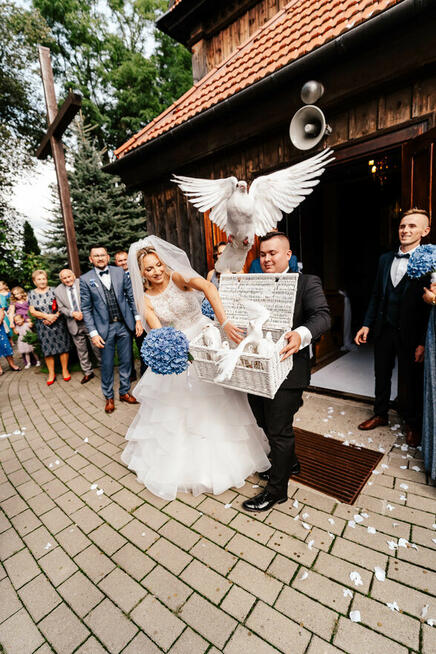 Galeria Marzeń Grzegorz Maj - kamerzysta / fotograf