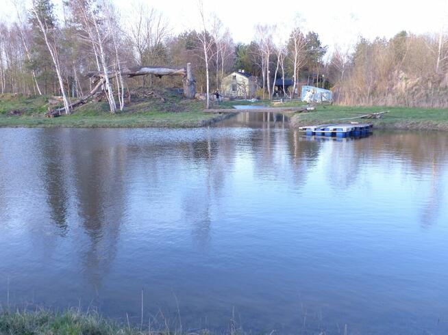 Posiadłość 4,6 ha, dwa domy, stawy, dużo drzew