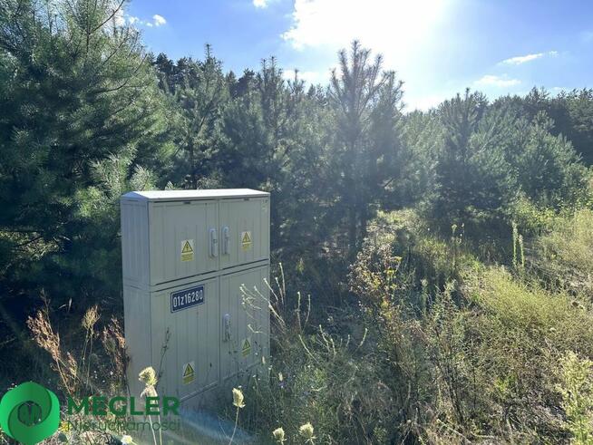 Działka w otulinie lasu