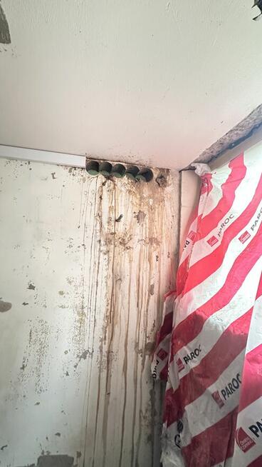 Roboty ziemne wykopy koparka i transport kruszywa