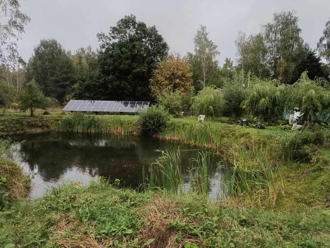 Posiadłość 4,6 ha, dwa domy, stawy, dużo drzew