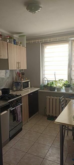 Mieszkanie w Debrznie 2 piętro,48m.Cena 210 000tys .