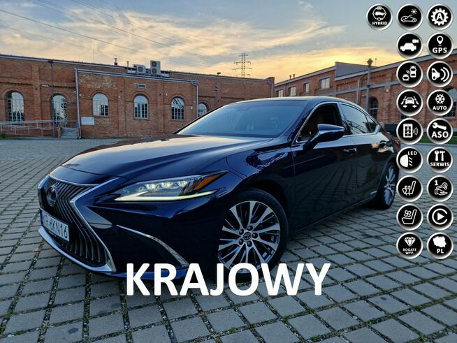 Lexus ES300 Salon Polska. Serwisowany w ASO. Bezwypadkowy. Wersja Omotenashi