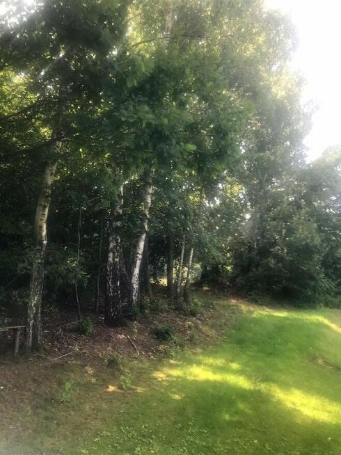 Przepiękna dz.budowlana k. Janowca/Kaziemierza Dolnego