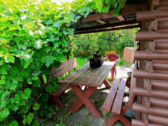 Sprzedam ogródek działkowy w ROD RELAX