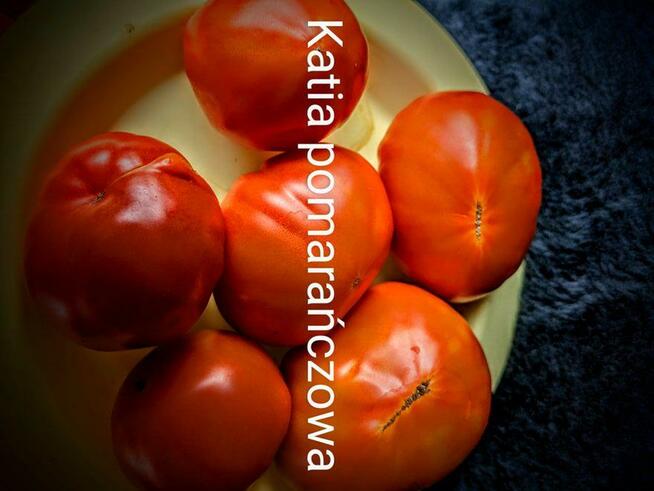 Cosmonault Volków Rosja Pomidor nasiona kolekcjonerskie