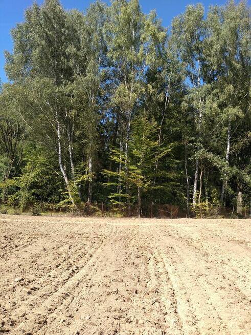 Działka rolna w Mątkach