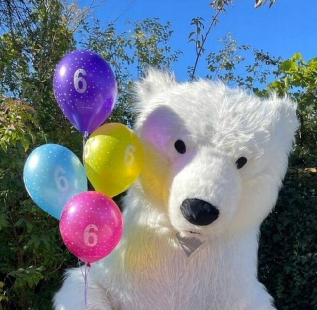 Kostium białego misia