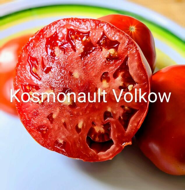 Cosmonault Volków Rosja Pomidor nasiona kolekcjonerskie