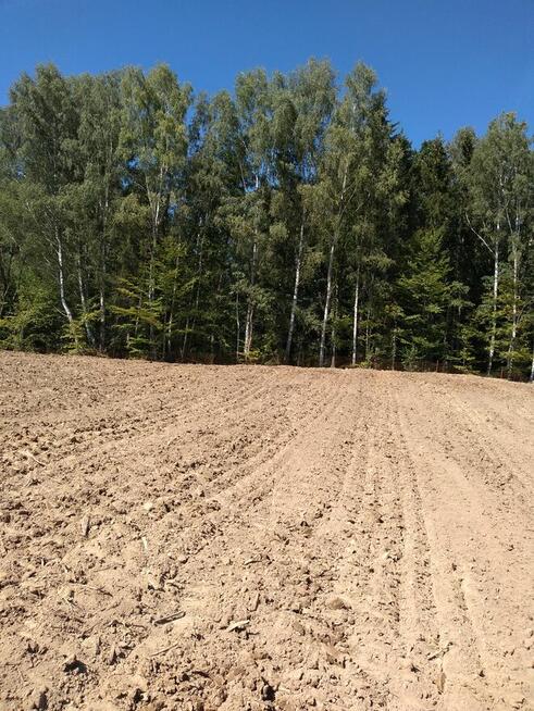 Działka rolna w Mątkach