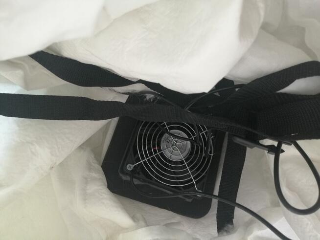 Kostium białego misia