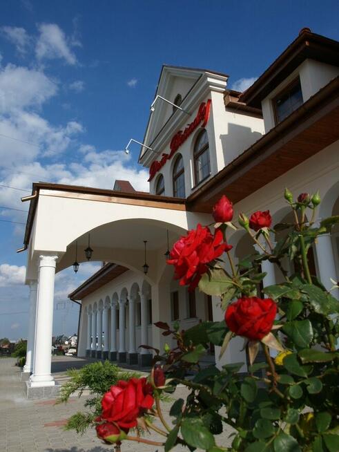 Sprzedam udziały w spółce z o.o