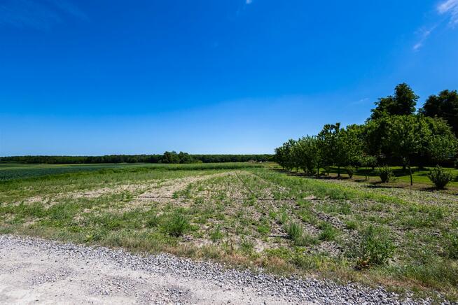 Działka budowlana Osmolice-Kolonia, 13 km od Zalewu Zemb.