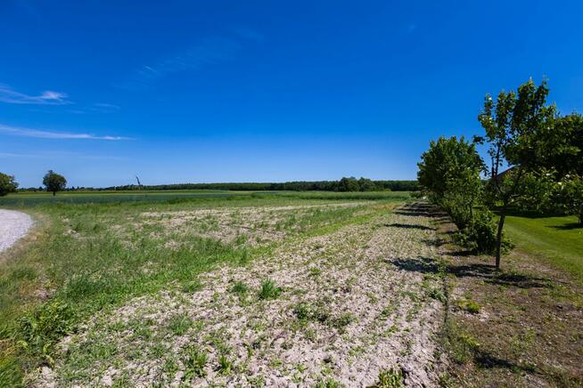 Działka budowlana Osmolice-Kolonia, 13 km od Zalewu Zemb.