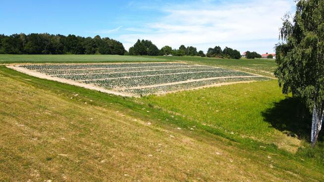 Działka budowlana Łąkta Dolna gm. Trzciana