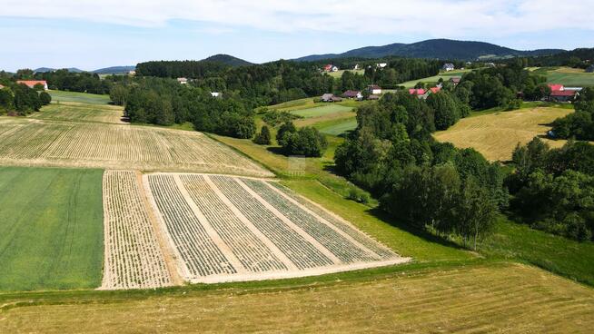 Działka budowlana Łąkta Dolna gm. Trzciana