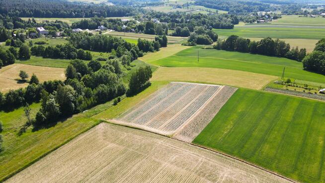 Działka budowlana Łąkta Dolna gm. Trzciana