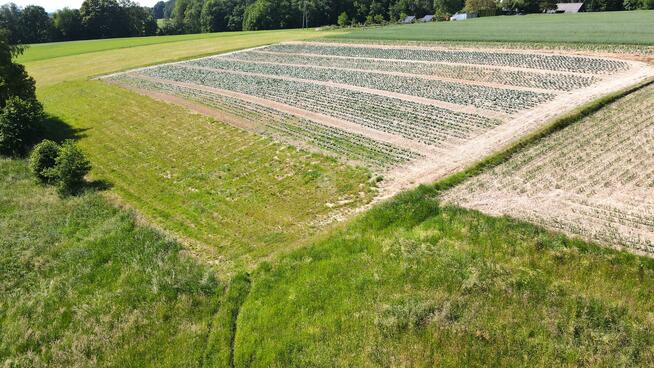 Działka budowlana Łąkta Dolna gm. Trzciana