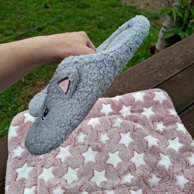 : Szare kapcie damskie z motywem kota – wkładka 25,5 cm