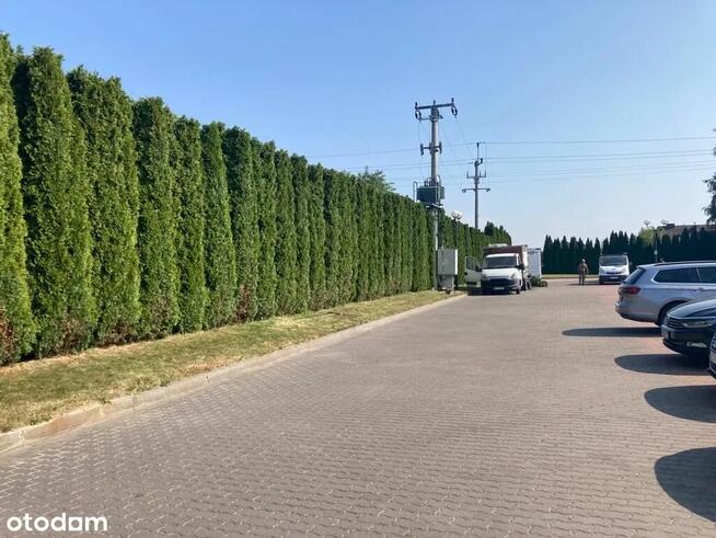 Biura, ekspozycje, magazyn w świetnej lokalizacji. Od 100 m2